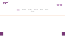 Tablet Screenshot of brijeel.com